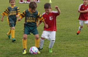 Kopie (2) von DSC01726