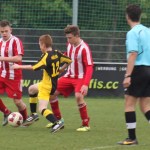 IMG_2013